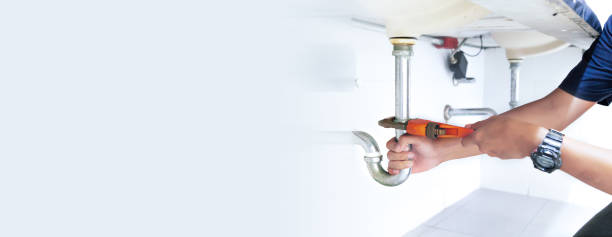 Best Plumbing System Maintenance  in Almont, MI